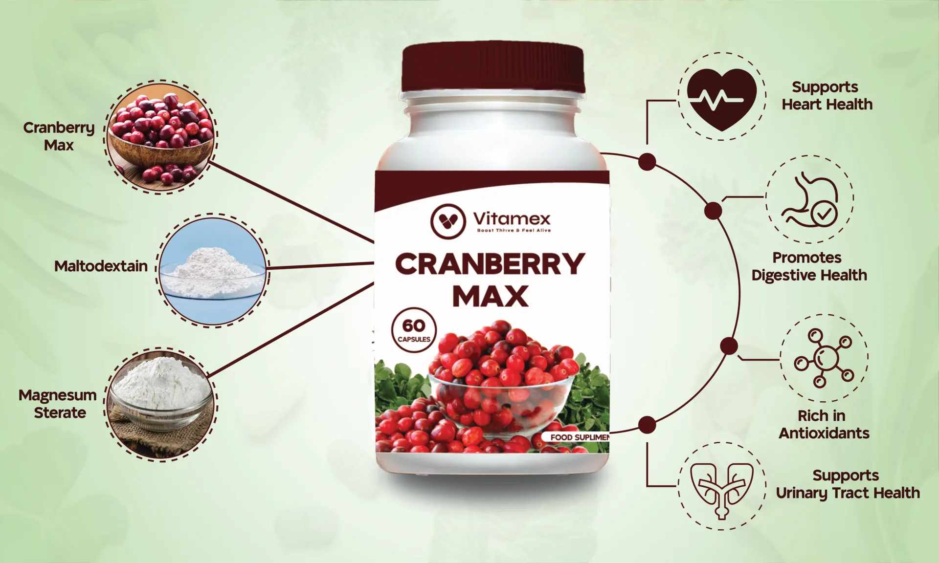 CRANBERRYINFOGRAPHICS